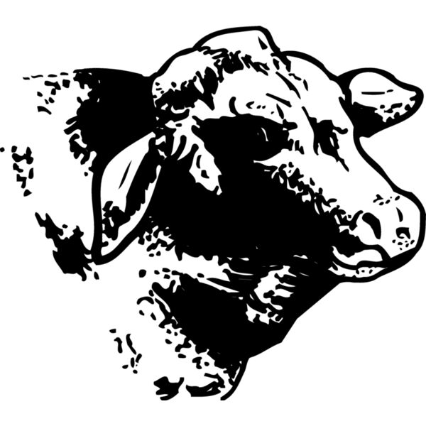 COW004 Thumbnail