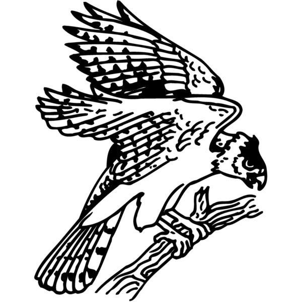 EAGLE027 Thumbnail