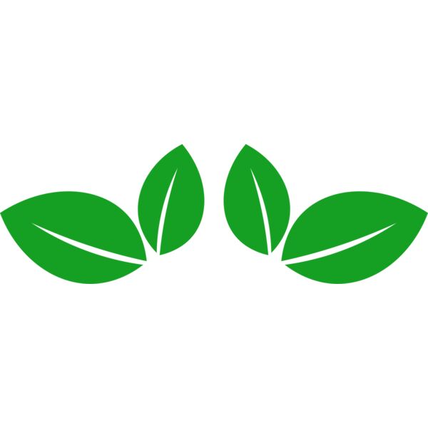 11 Leaves Thumbnail