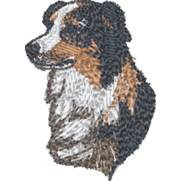 Australian Shepherd Head Thumbnail