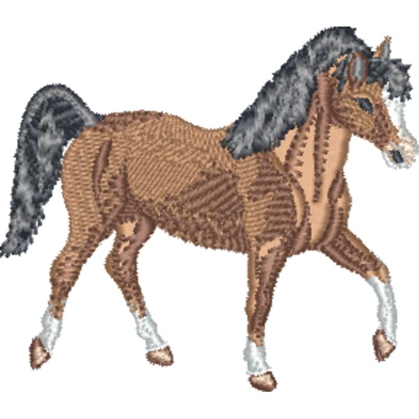 Arabian Horse Thumbnail