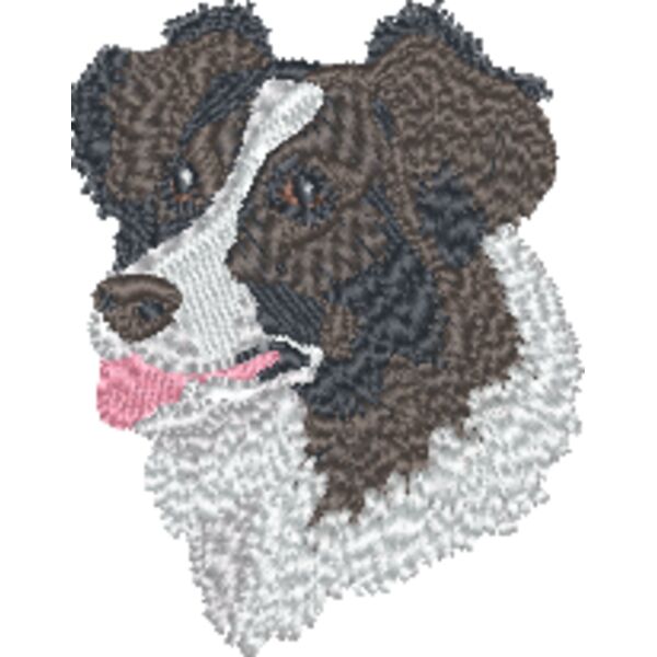Border Collie Head Thumbnail