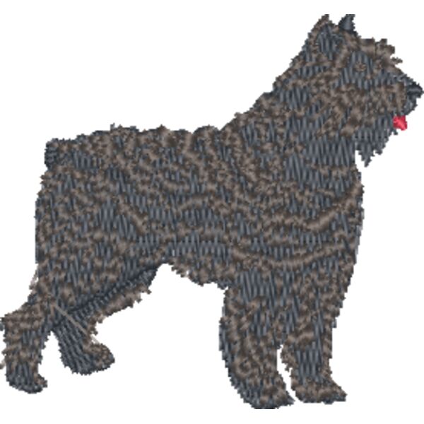Bouvier Des Flanders Thumbnail