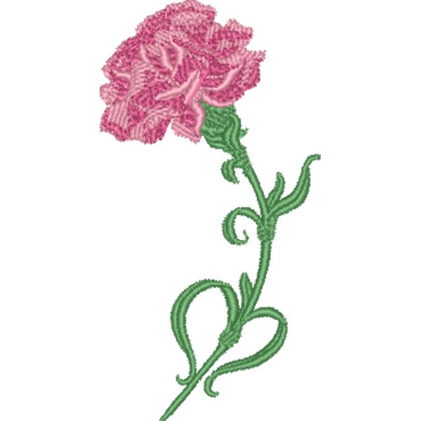 Carnatian  Thumbnail