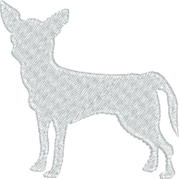 Chihuahua  Thumbnail