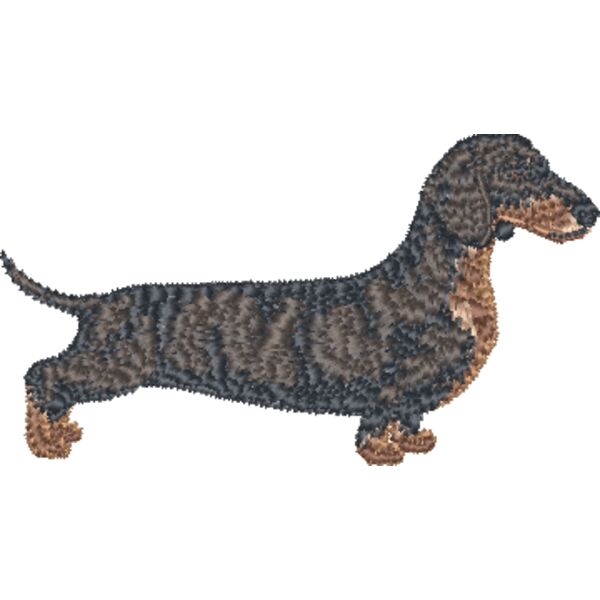 Dachshund  Thumbnail