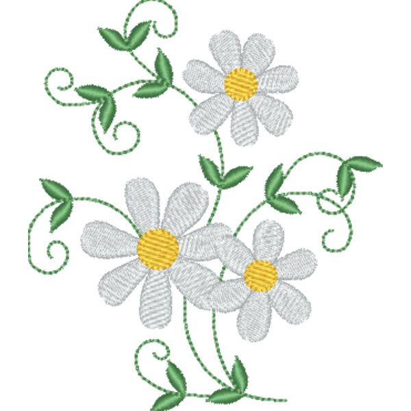 Daisy Vine Thumbnail