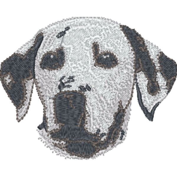 Dalmatian Head Thumbnail